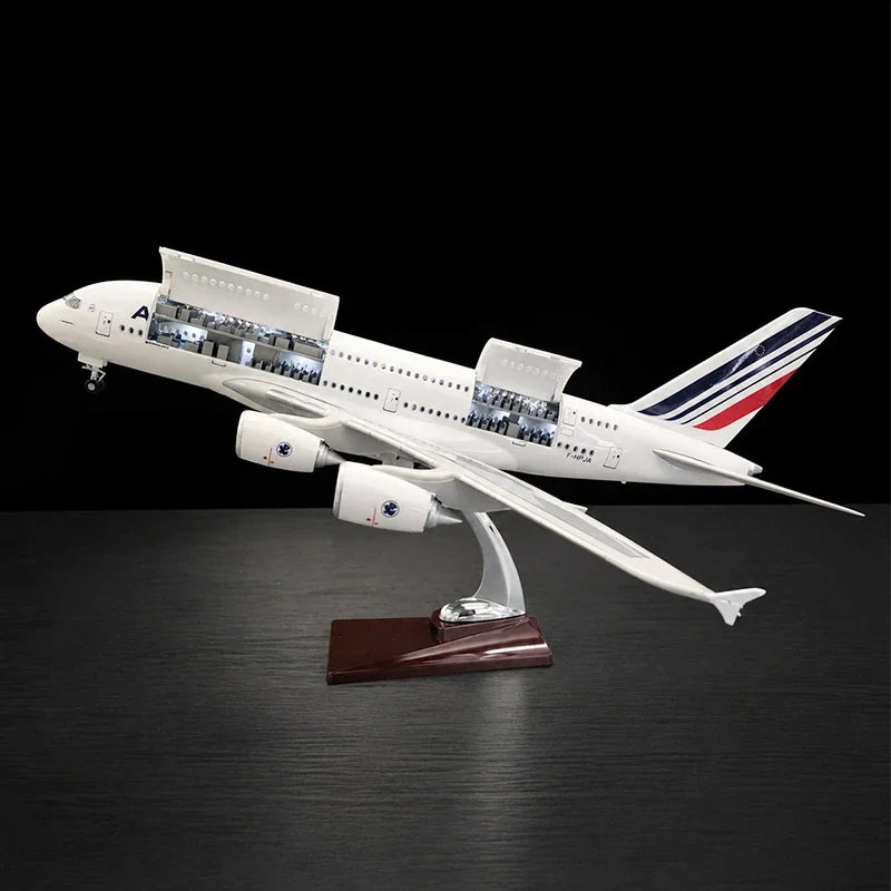 Which Airbus Aircraft Model Makes the Best Office Decoration?
